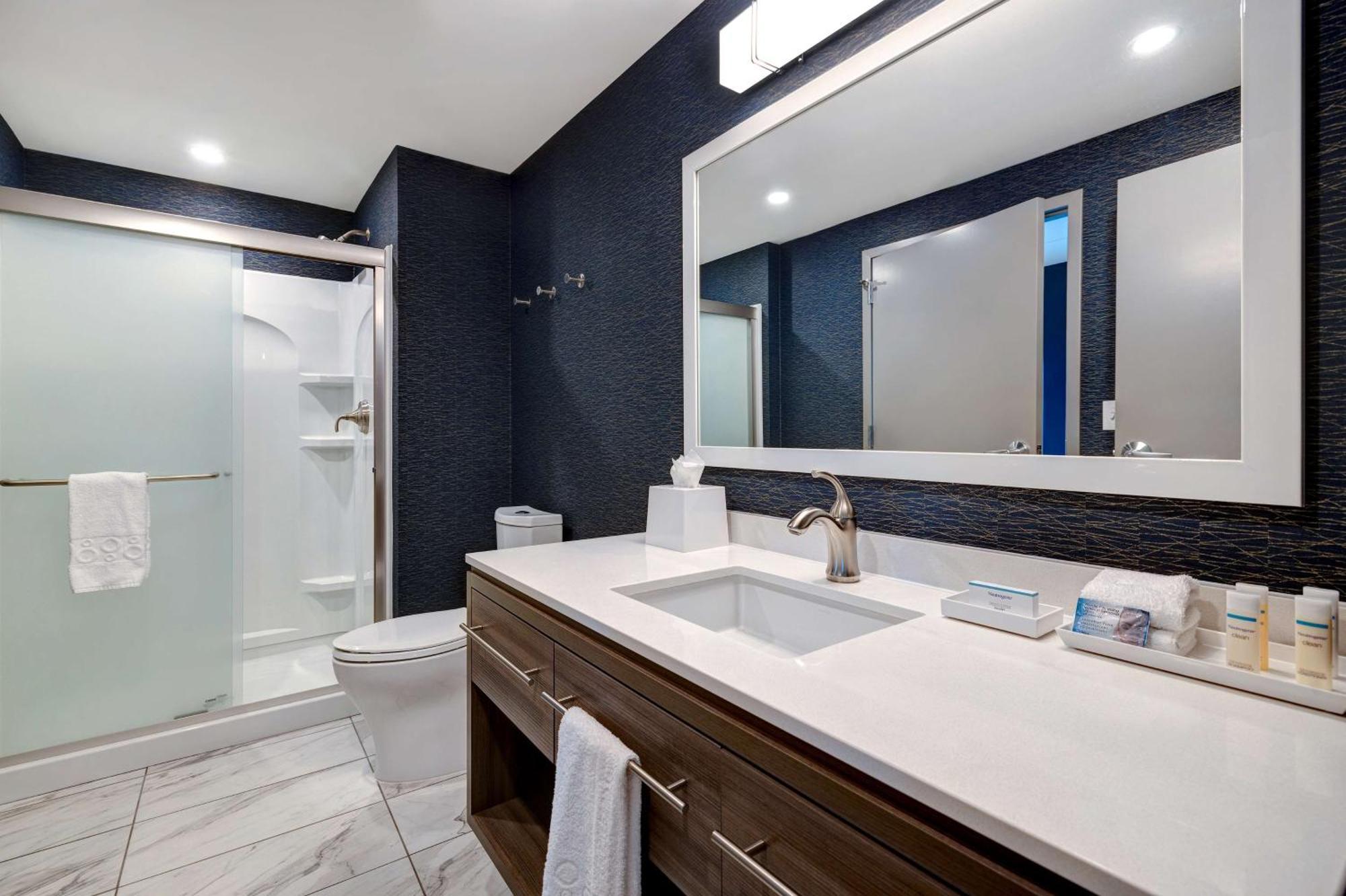 Home2 Suites By Hilton Nashville Downtown-Metrocenter Екстериор снимка